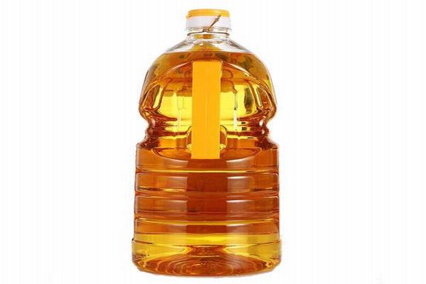 全面高級2日 套餐