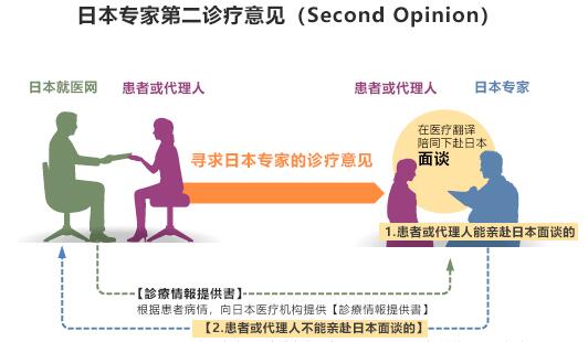 如何獲取日本專家的診療意見?