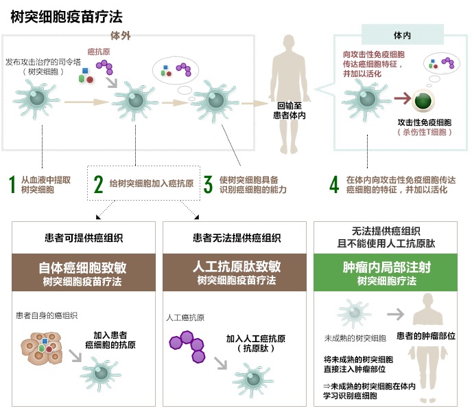 樹突細(xì)胞疫苗療法的種類